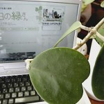 A Revolução dos Blogs: Tem até planta blogando agora