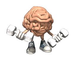 dormir_melhora_aprendizado